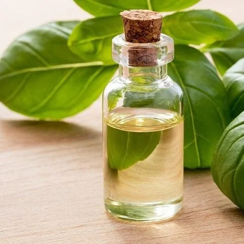 Basil Hydrosol